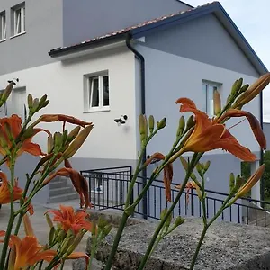  Apartment Zita Lovran
